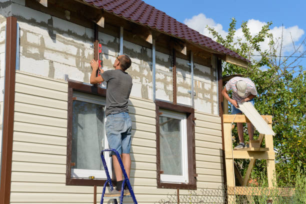 Best Vinyl Siding Installation  in Wilton, IA