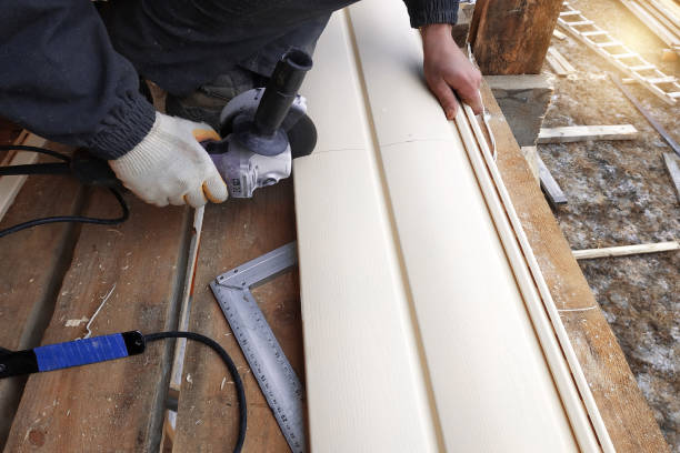 Best Siding Painting and Refinishing  in Wilton, IA